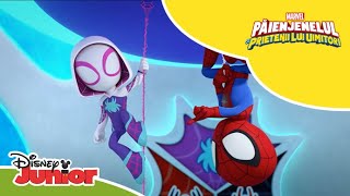 👀 Avem un intrus  Păienjenelul Marvel și prietenii lui uimitori  Disney Junior România [upl. by Heidt]