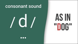 Consonant Sound  d  as in quotdogquot – American English Pronunciation [upl. by Strickman]