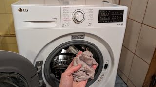 How to Remove Lint from Washer Dryer Combo Machine [upl. by Harman]