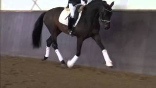 2011 Stallion by Quadroneur [upl. by Fatsug]