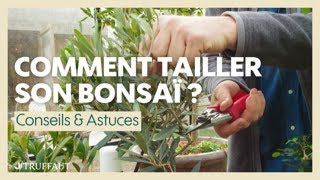 Comment tailler un bonsaï   Truffaut [upl. by Kcirted]