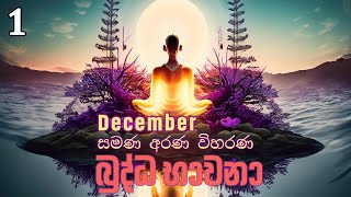 01 බුද්ධ භාවනා  මීරිගම 20231216 pm [upl. by Nauquf]