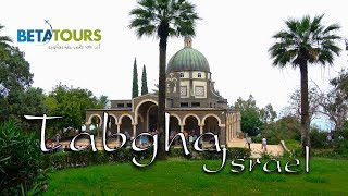 Tabgha Galilee Lake Capharnaum Israel 4K travel guide bluemaxbgcom [upl. by Dracir737]