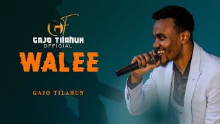 Gajo Tilahun WALEE New Oromo Music video 2024 [upl. by Plafker]