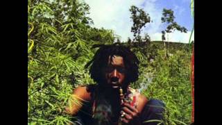 Peter Tosh  Burial [upl. by Leterg]