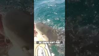 When Joker goes Shark Fishing fishing shortsvideo shark [upl. by Elodea]