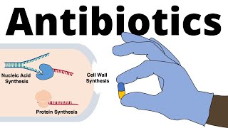 Antibiotics  Mechanisms of Action Classification and Antibiotic Resistance [upl. by Ylam952]