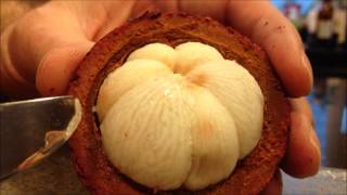 How to prepare a Mangosteen [upl. by Nlycaj]