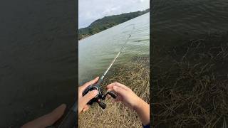 shimano scorpion dc casting hit [upl. by Aimo]