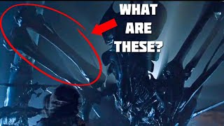 What are THESE on the Xenomorph  Alien Romulus [upl. by Tolman]