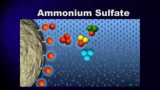 Bioprocessing Part 3 Purification [upl. by Milburn]