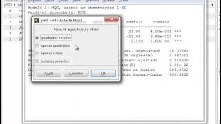 Econometria Heterocedasticidade Teste Reset [upl. by Jackelyn139]