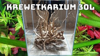 Zakładanie Krewetkarium 30l [upl. by Butterfield]