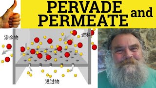 🔵 Pervade and Permeate  Pervade Meaning  Permeate Examples  Pervasive Definition [upl. by Aivul]