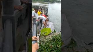 Action to fish 💯🔥🤪 fishing rbc fish rbcc 😲 move baliq baby [upl. by Ecydnarb]