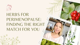 Herbs For Perimenopause Finding The Right Match For You [upl. by Nylime117]