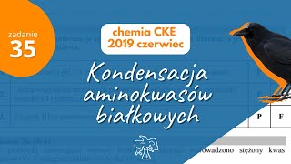 KONDENSACJA AMINOKWASĂ“W BIAĹKOWYCH  Matura Chemia CKE 2019 Czerwiec  Zadanie 35 [upl. by Abehsat]