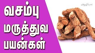 வசம்பு மருத்துவ பயன்கள  Vasambu Home Remedies in Tamil [upl. by Obeng]