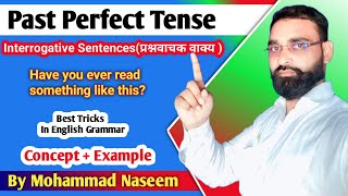 Tense  Past Perfect Tense  Past Perfect Tense Interrogative sentence examples  By Md Naseem [upl. by Ytirahc]