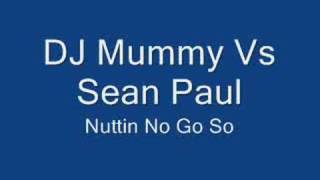 Dj Mummy Vs Sean Paul  Nuttin No Go So Remix [upl. by Berna]