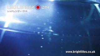 LED Lenser D14 Dive Torch Demo Brightlitescouk [upl. by Xerxes]