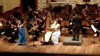 Mozart Concerto for Flute and Harp I Mov [upl. by Funk]