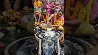 Jai shiv Jai baba baidyanath 🙏 🕉 shortsज्योतिर्लिंगबाबाधामआज का प्रात कालीन दर्शन🙏 🕉 26112024 [upl. by Darrelle]