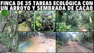 Finca de 35 tareas Ecológica con un Arroyo y Sembrada de Cacao en Sabana Grande de Boya [upl. by Isabelita]