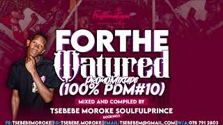 Tsebebe Moroke – For The Matured Promo Mixtape 100 Production Mix 10 🔥🦾🕴🏿 [upl. by Eerdna]