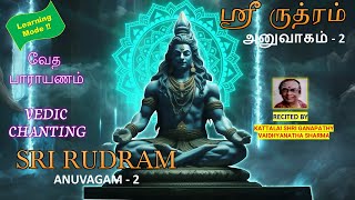 RUDRAM  ANUVAGAM  2  Learning Mode [upl. by Nesto303]