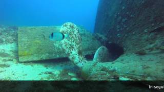 Diving Service  Torre Vado LE  Tevfik Kaptan I [upl. by Gessner]