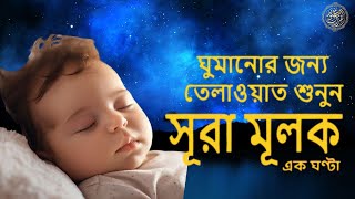 আবেগময় কণ্ঠে সূরা মুলক তিলাওয়াত । Surah AlMulk  Emotional Tilawat  By Zain ABU KAUTSAR [upl. by Sarina]