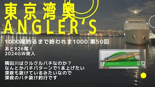 【東京湾奥】隅田川 悶絶クルクルバチ？バチパターン釣行3【シーバス釣り】2024GW Can We Catch Fish In Tokyo Bay 50 [upl. by Aniled]