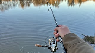 Review Nhanh Daiwa Steez Real Control S63ULSV [upl. by Sirraf493]