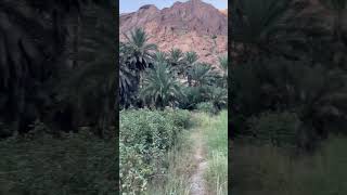 Moola Manyalo khuzdar moolah moolamanyalo khuzdar balochistan natural [upl. by Ocsirf]