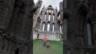 travel explore adventure whitby whitbyabbey epic history ruins englishheritage [upl. by Daveta]