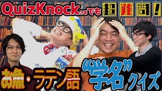 【もはや呪文】学名＝ラテン語でもこの3人なら何のお寿司ネタか正解できる説！【前編】 [upl. by Atsylak]