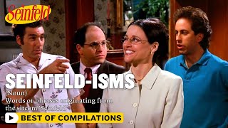 Seinfeldisms A Guide  Seinfeld [upl. by Loralie914]