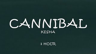 Kesha  Cannibal 1 Hour Lyrics [upl. by Mahmoud]