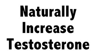 Naturally Raise Testosterone Levels [upl. by Atelokin154]