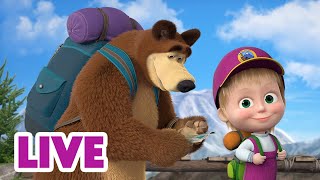 🔴 LIVE 🐻👧 Masha y el Oso 2024 🏕️ Interés natural 🎬 Masha and the Bear [upl. by Herwick]