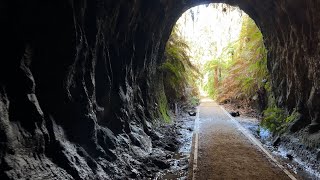 Blue Mountains Historic Sites Glow Worm Tunnel Newnes Plateau Wollemi NP Blue Mountains NSW [upl. by Adnim]