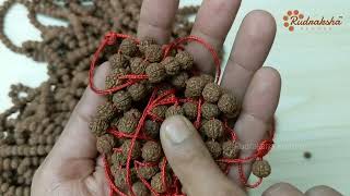 Detail About Rudraksha Mala  9987835118 [upl. by Daisi]