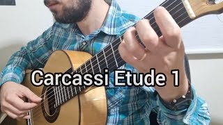 Carcassi Etude No 1 Op 60 Scales [upl. by Ellehcirt251]