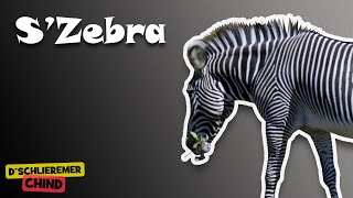 Schlieremer Chind  SZebra [upl. by Yelruc]