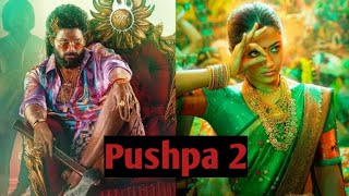 Pushpa 2  hindi movie  dubbed video  allu arjun sauth movie [upl. by Luahs]