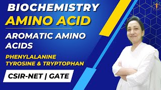 Aromatic Amino Acids  Phenylalanine  Tyrosine  Tryptophan [upl. by Eusassilem149]