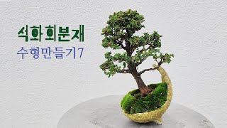 석화회분재 수형만들기7 sekka hinoki bonsai [upl. by Eleonore729]