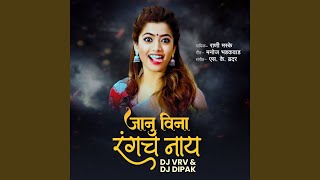 Janu Vina Rangach Nahi DJ Remix [upl. by Janot]