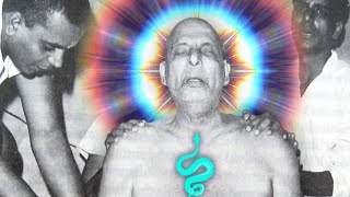 Swami Sivananda  Beyond MahaSamadhi and Miracles  Documentary [upl. by Hadrian911]